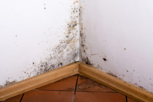 Mold in the corner of your room could be the result of water damage in your home. If you need water damage repair, then Big Red's can help you.