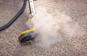 Carpet Steam Cleaning Omaha by Big Red's Guaranteed Clean
