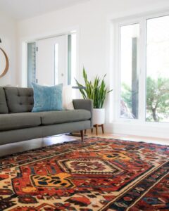An area rug sits in the living room surrounded by a couch, a plant, and windows.